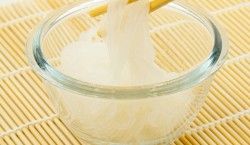 shirataki konjac